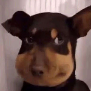 Meet your Posher, Ashleigh